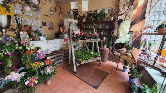 Blüte & Stil Inh.Mikela Dervishi