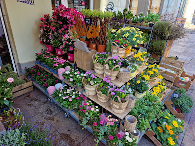 BLUME2000 Göttingen