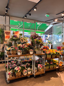 BLUME2000 Göttingen