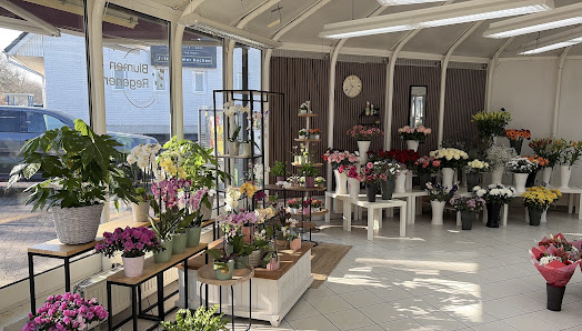 Blumen Regener