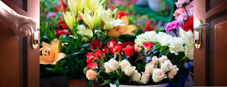 Blumenhaus Jannink GbR