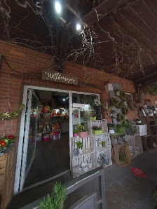 Strauß Galerie