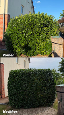 AV Gartenbau