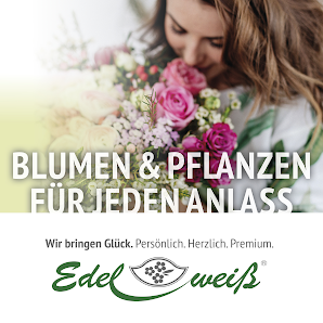 Blumen Edelweiss Garbsen Nord-West-Zentrum