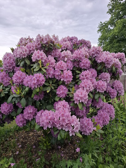 Winkler's Gartenservice