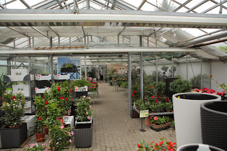 Blumen Cordes