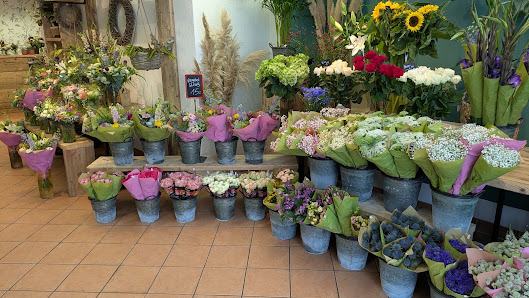 Der Holländer Blumen