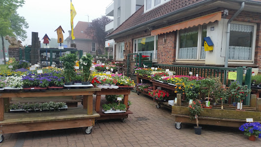 Kohlen-Sander Gartenbedarf
