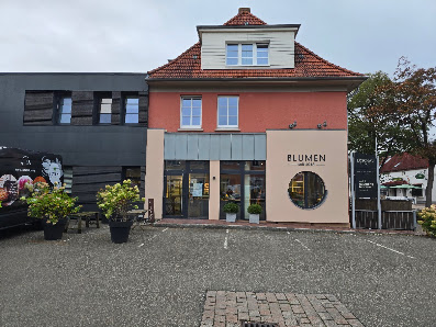 Löschau Dekoration, Blumen und Pflanzen, Raumbegrünung,Hydrokulturen