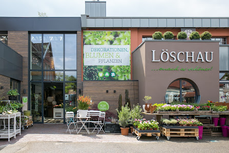 Löschau Dekoration, Blumen und Pflanzen, Raumbegrünung,Hydrokulturen