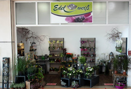 Blumen Edelweiß Göttingen Kaufpark