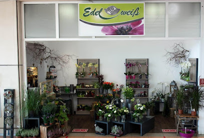 Blumen Edelweiß Göttingen Kaufpark