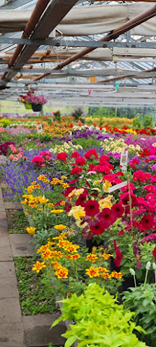 Der Bauerngarten | Blumen Celle