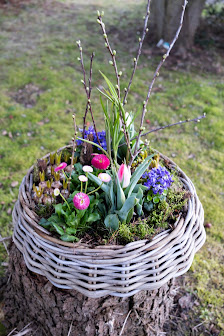 Blumenhaus Sander