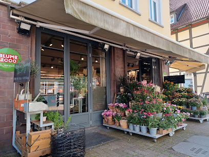 BLUME2000 Celle