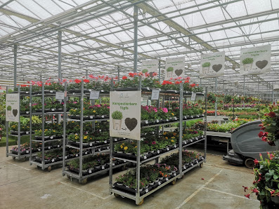 Bayerische Blumen Zentrale GmbH - Dekozentrale