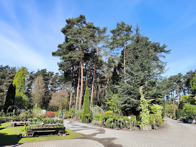Sandau und Heindorff Gartengestaltung GmbH