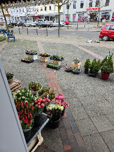 Blumen-Kendzi