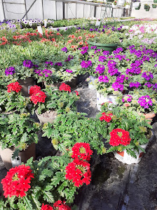Blumenhaus Brunken Friedhofsgärtnerei