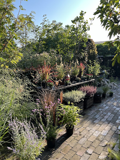 Garten und Stein