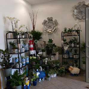 Xuan Anh Blumen