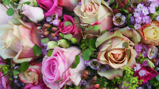 Gärtnerei und Blumen Thomßen