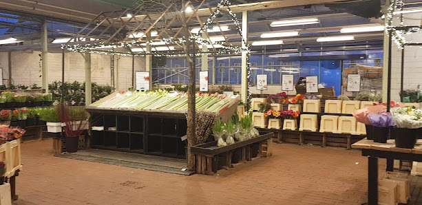 die pottblume GmbH