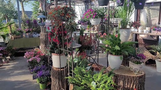 Blumenhof Budke