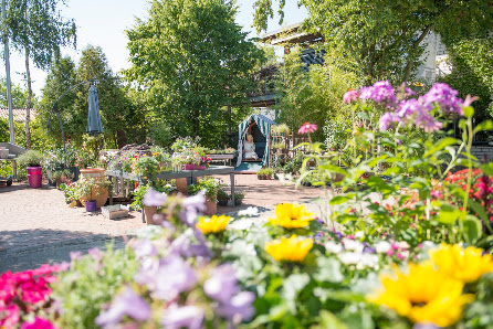 Gust - Florales, Grab und Garten