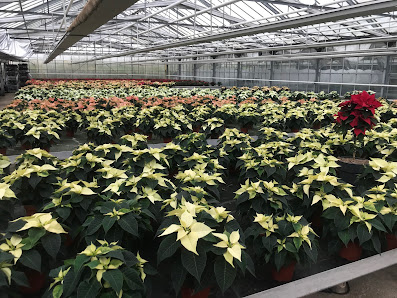 Gartenbau Frank Wallenhorst