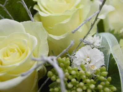 blumen-dammann-jork