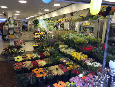 Blumen aus Holland