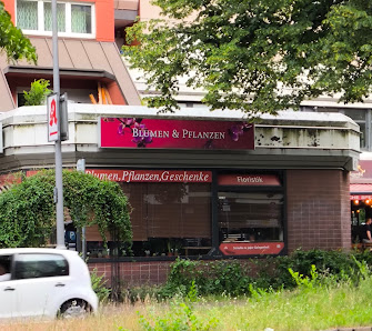 Blumen & Pflanzen