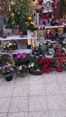Lüneburger Blumendiele - Nina Johannsen