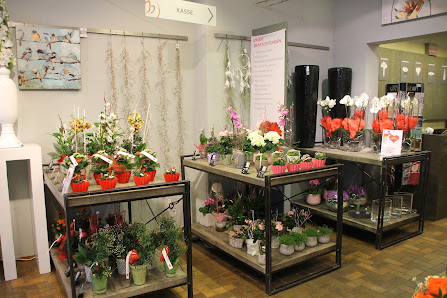 1A Blumen Lange in Hildesheim Lieferservice