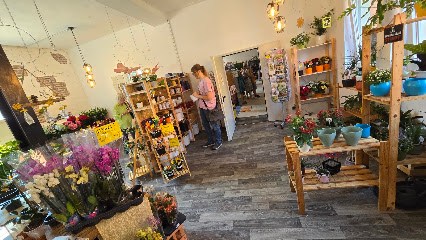 Blumen-Land Westerhold
