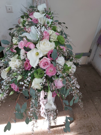 Blumen Nolte