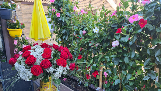 Blumen Nolte
