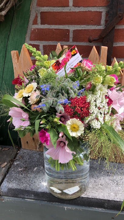 Dwoberger Blütenmeer - Blumen zum Selberpflücken
