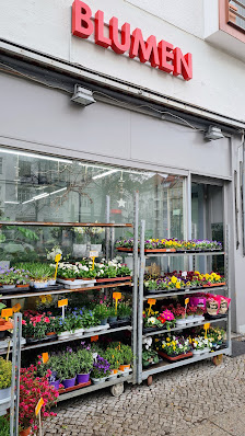 Blumen und Pflanzen