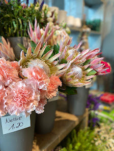 BLUME2000 im Edeka Inkoop in Delmenhorst