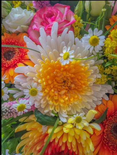 Moderne Blume P. Goerke Inh. Sonja Hellwege