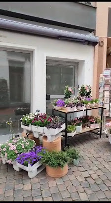 Blumensalon Hanse Werkstätten