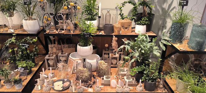 Blumensalon Hanse Werkstätten