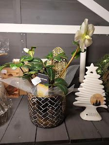 Bernds Blumenschrank