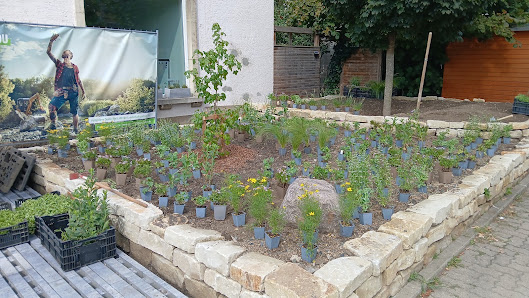 Glatter grüne Gartenvielfalt