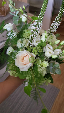 Blumen-Pflanzen