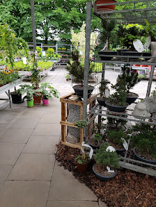 Wiesmoor Blumencenter Emden