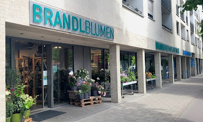Brandl Blumen GmbH