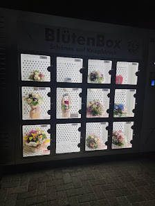 BlütenBox - Schönes auf Knopfdruck